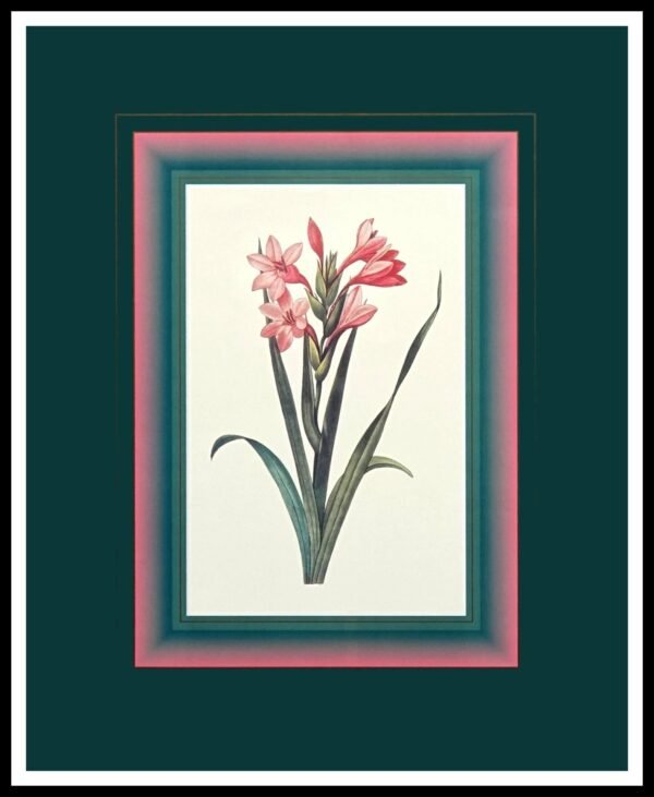 FR PN234 Flora Impression I